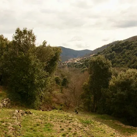 Bed & Breakfast Mas Des Nabieres